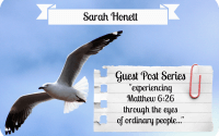 Guest Post by: Sarah Honett