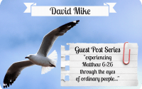 Guest Post by: David Mike