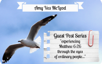 Guest Post By: Amy Vos McLeod