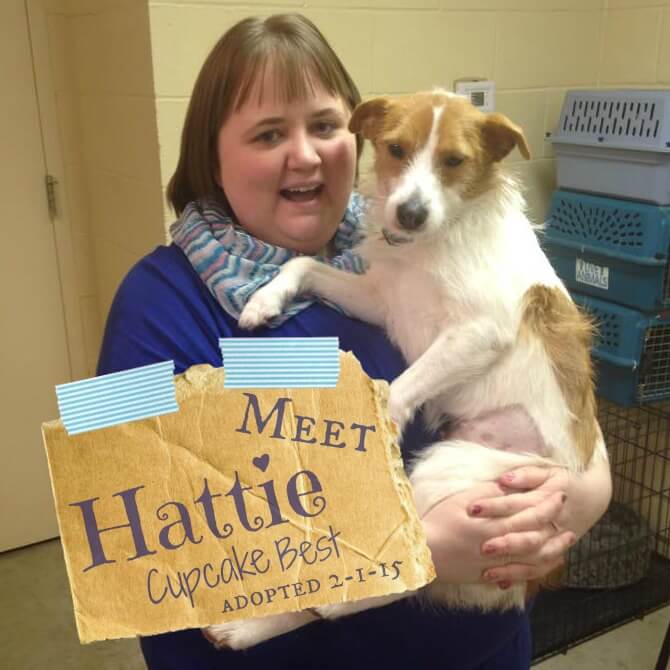 meet hattie